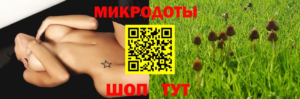 Нарьян-Мар  Галлюциногенные грибы прущие грибы  Вход с VPN 