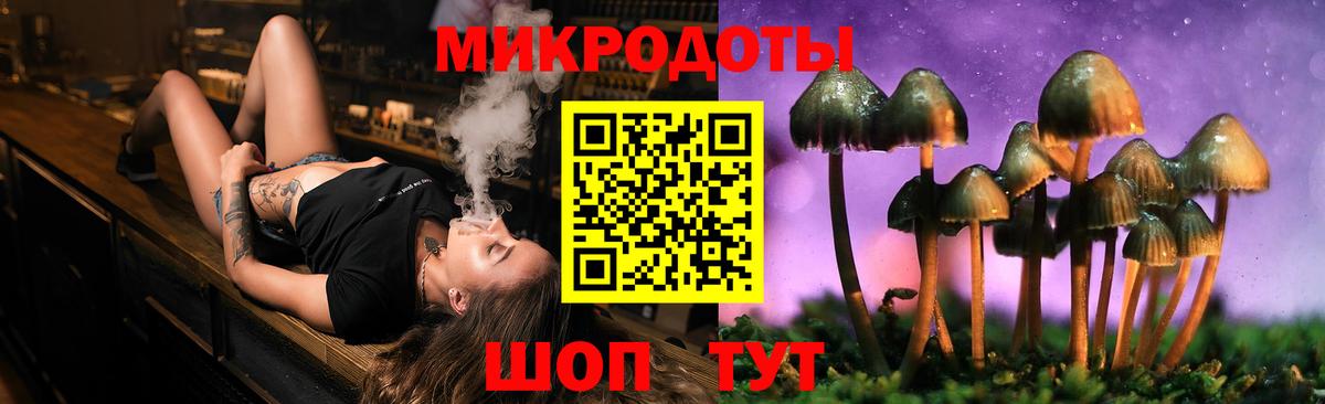 Галлюциногенные грибы Cubensis Нарьян-Мар